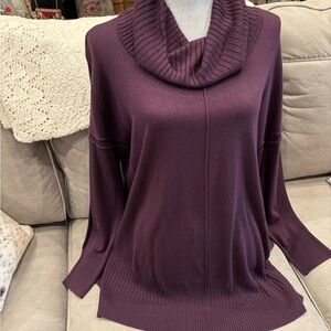 Cupio Deep Purple Cowl Neck Sweater